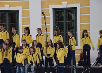 Mladi iz Gorice na SHKM-u u Vukovaru