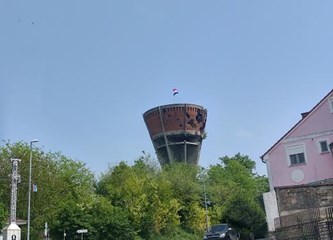 Mladi iz Gorice na SHKM-u u Vukovaru